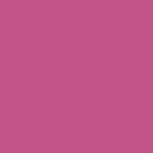 Dylan White Junior Loft Bed with Pink/White Tent and Playhouse