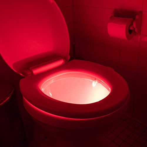 Protocol Disco Potty Toilet Night Light