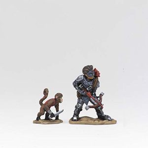 Wardlings: Boy Rogue & Monkey