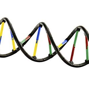 Thames & Kosmos Biology Genetics and DNA