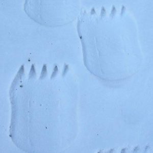 Flexible Flyer Snow Prints Kids Foam Snowshoes. Toddler Outdoor Winter Snow Toy