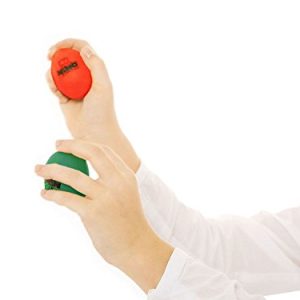 Nino Percussion Plastic Egg Shaker Set, 4 Pieces - For Classroom Music or Playing at Home, 2-YEAR WARRANTY (NINOSET540)