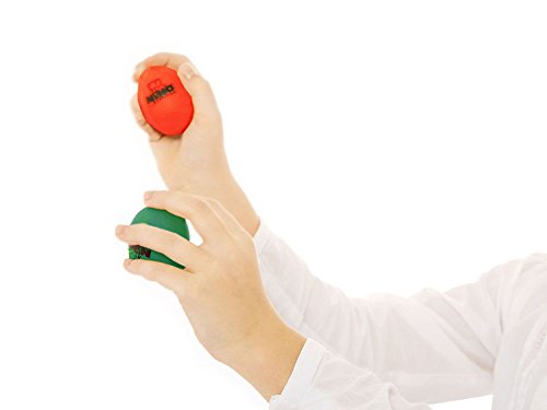 Nino Percussion Plastic Egg Shaker Set, 4 Pieces - For Classroom Music or Playing at Home, 2-YEAR WARRANTY (NINOSET540)