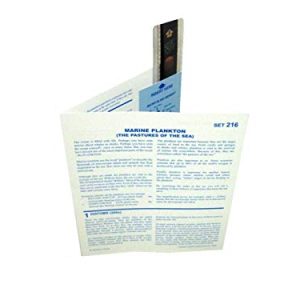 American Educational Microslide Marine Plankton Set
