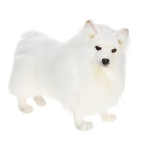 Hansa - 19" German Spitz Dog