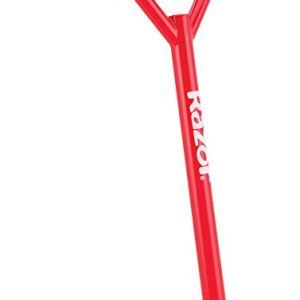 Razor Pro RDS Dirt Scooter