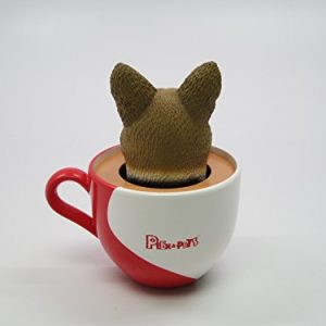 Idea Max Peek-A-Pet Bobble Heads Flowers Corgi (Tea Cup)