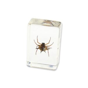 REALBUG Spiny Spider Paperweight (1.8x1.1x0.8)