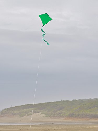In the Breeze Green Diamond Kite, 30-Inch
