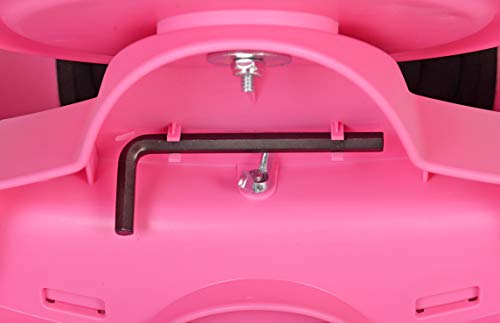 iBert Child Bicycle Safe-T-Seat