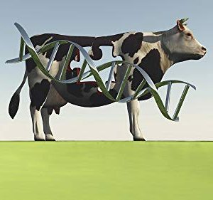 Posterazzi PSTRFF700060H Cow with DNA Strand and Hole in Puzzle Shape Photo Print, 11 x 17, Multi