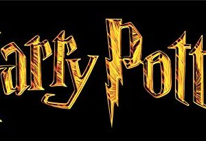 Harry Potter Sorting Hat