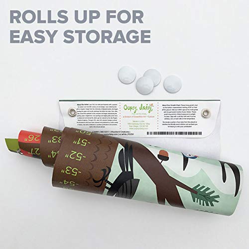 Oopsy Daisy Birchwood Owl Growth Chart, Pink, 12" x 42"