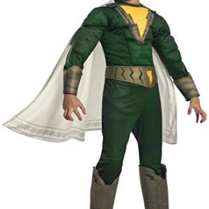 Rubie's Deluxe Shazam Pedro Child Costume