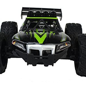 Gallop Ghost Top Speed Remote Control 2.4 GHz RC Green Toy Buggy Car 1:14 Scale Size Ready to Run w/ Working Suspension, Spring Shock Absorbers