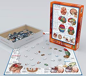 EuroGraphics Human Body (The Brain) 1000 Piece Puzzle