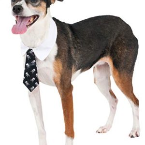 Rubie's Costume Company Skull Print Tie for Pet