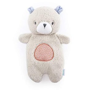 Ingenuity Premium Soft Plush Soothing Bean Bag Lovey - Nate The Teddy Bear, Ages Newborn +