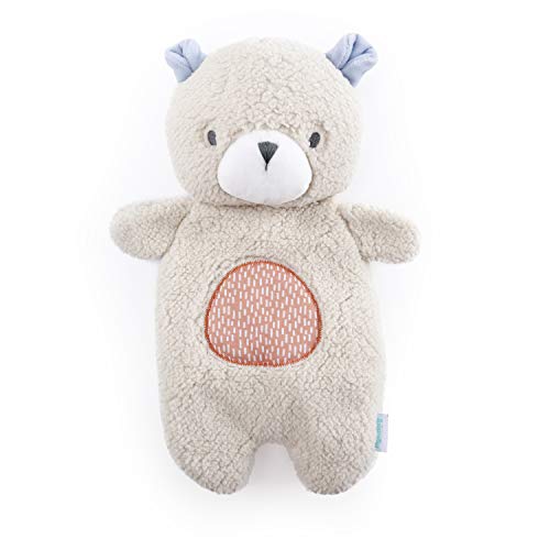 Ingenuity Premium Soft Plush Soothing Bean Bag Lovey - Nate The Teddy Bear, Ages Newborn +