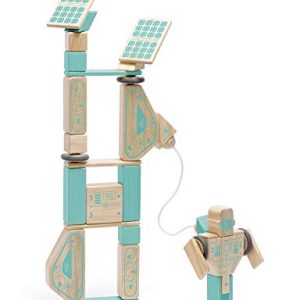 Tegu Magnetron Magnetic Wooden Block Set
