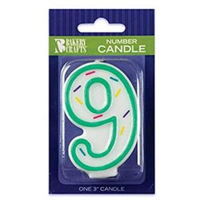 Oasis Supply Sprinkle Birthday Candles, 3-Inch, Number-9