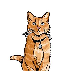 FiGPiN Mini Captain Marvel: Goose - Collectible Pin