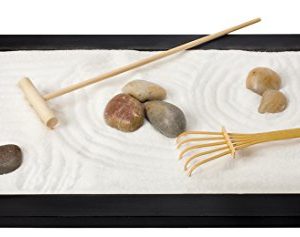 Toysmith Zen Garden