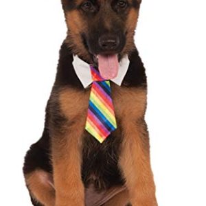 Rubie's Costume Company Rainbow Tie for Pet
