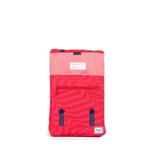 Herschel Survey Kids