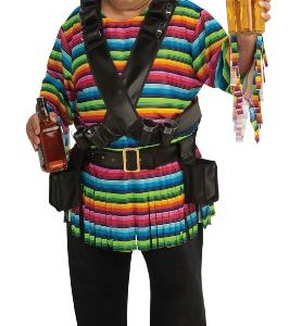 Tequilla Sunrise Costume