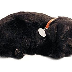 Perfect Petzzz Puppy