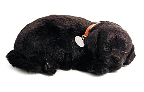 Perfect Petzzz Puppy
