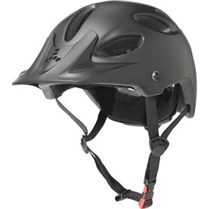 Triple Eight Compass Helmet