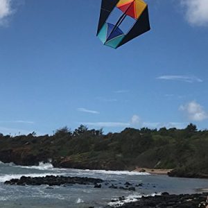 In the Breeze Hot Cool Winged Box Kite