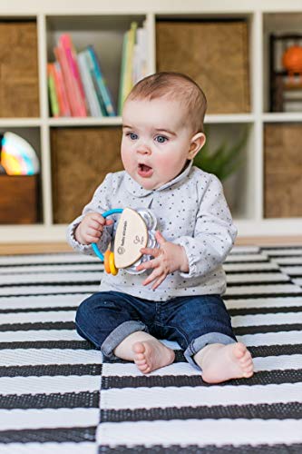 Baby Einstein Tiny Tambourine Wooden Musical Toy, 3 Months +