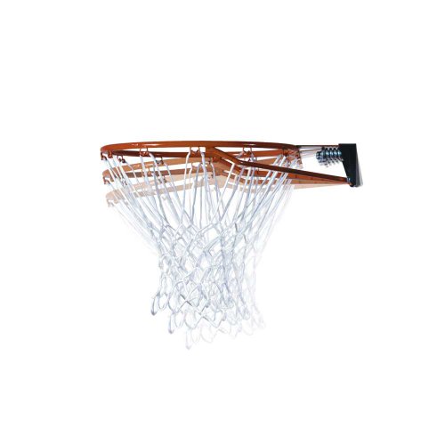Lifetime 71281 In Ground Power Lift Basketball System, 52 Inch Shatterproof Backboard