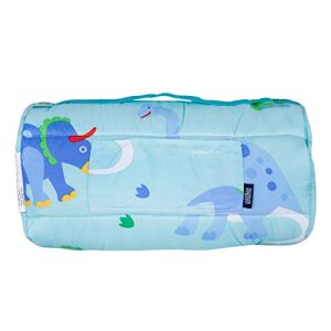 Wildkin Microfiber Nap Mat with Pillow for Toddler Boys and Girls, Perfect Size for Daycare and Preschool, Designed to Fit on a Standard Cot, Patterns Coordinate with Our Lunch Boxes and Backpacks