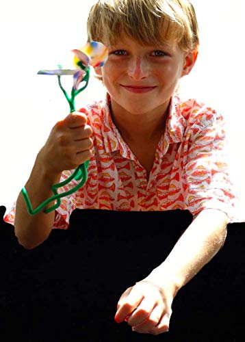 The Young Scientists Club Science Art Fusion Rainbows Kit