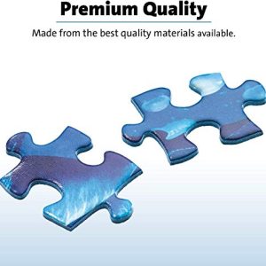 Ravensburger 16458 The After Party 1000 Piece Puzzle for Adults - Every Piece is Unique, Softclick Technology Means Pieces Fit Together Perfectly