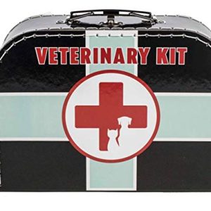Schylling Veterinarian Kit