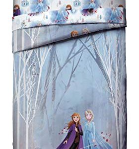 Jay Franco Disney Frozen 2 Forest Spirit Twin/Full Comforter & Sham Set, Mutli
