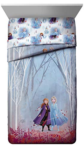Jay Franco Disney Frozen 2 Forest Spirit Twin/Full Comforter & Sham Set, Mutli