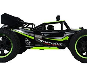 Gallop Ghost Top Speed Remote Control 2.4 GHz RC Green Toy Buggy Car 1:14 Scale Size Ready to Run w/ Working Suspension, Spring Shock Absorbers
