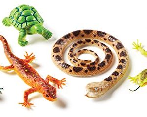 Learning Resources Jumbo Reptiles & Amphibians I Tortoise, Gecko, Snake, Iguana, and Tree Frog, 5 Animals
