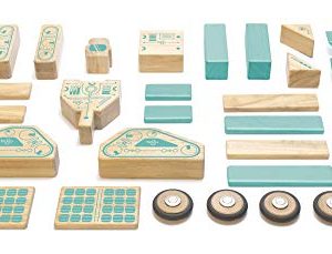 Tegu Magnetron Magnetic Wooden Block Set