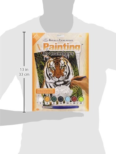 ROYAL BRUSH Junior Small Paint by Number Kit 8-3/4"X11-3/4-Tiger in Hiding