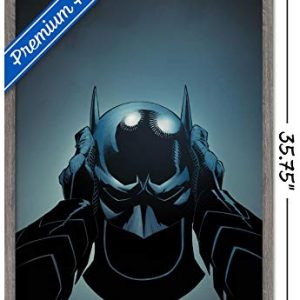Trends International DC Comics - Batman - Cowl Wall Poster, 22.375" x 34", Multi