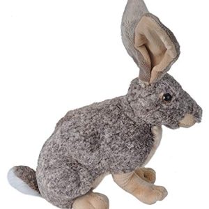 Wild Republic Hare Plush, Stuffed Animal, Plush Toy, Kids Gifts, Cuddlekins, 12 Inches