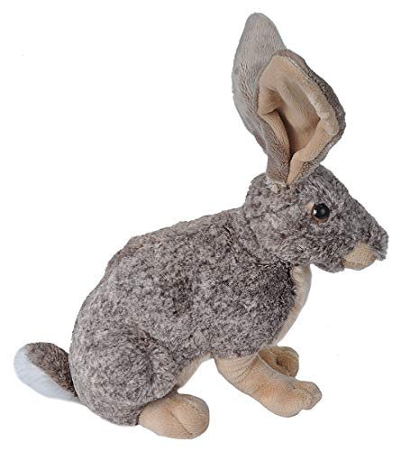 Wild Republic Hare Plush, Stuffed Animal, Plush Toy, Kids Gifts, Cuddlekins, 12 Inches
