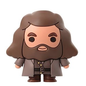 Harry Potter Novelty Magnet, Multi Color